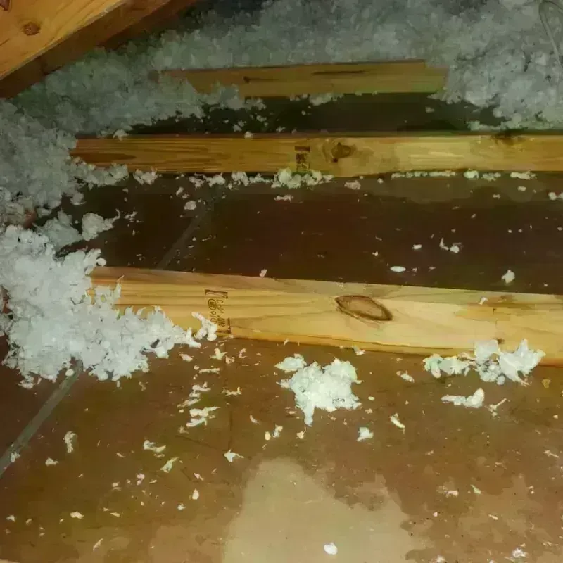 Attic Water Damage in West Hollywood, FL