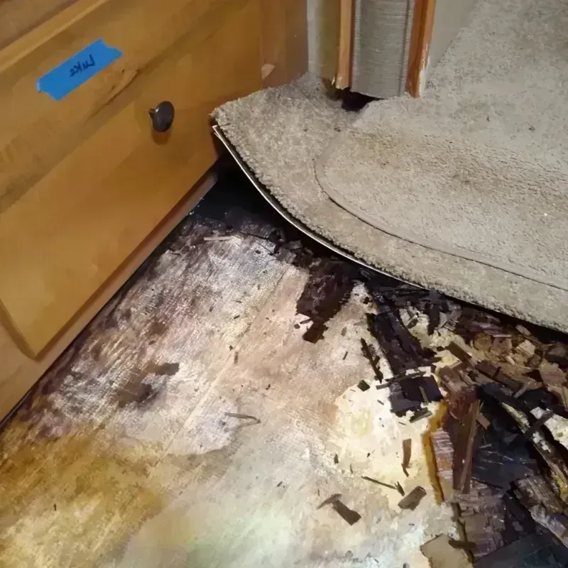 Wood Floor Water Damage in West Hollywood, FL